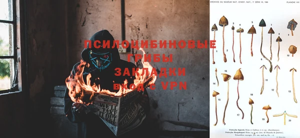 spice Баксан