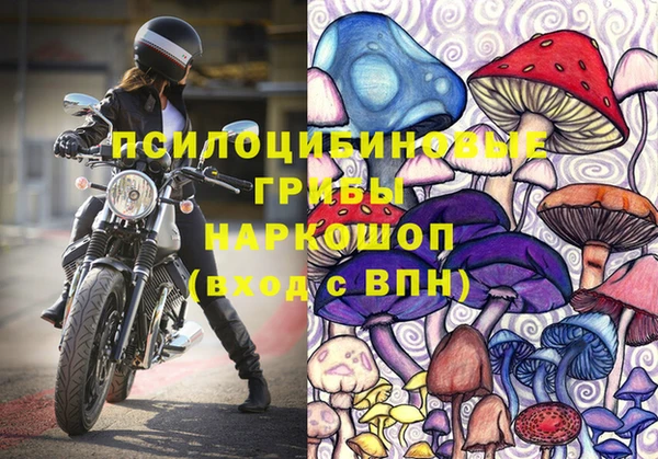 гашик Балахна